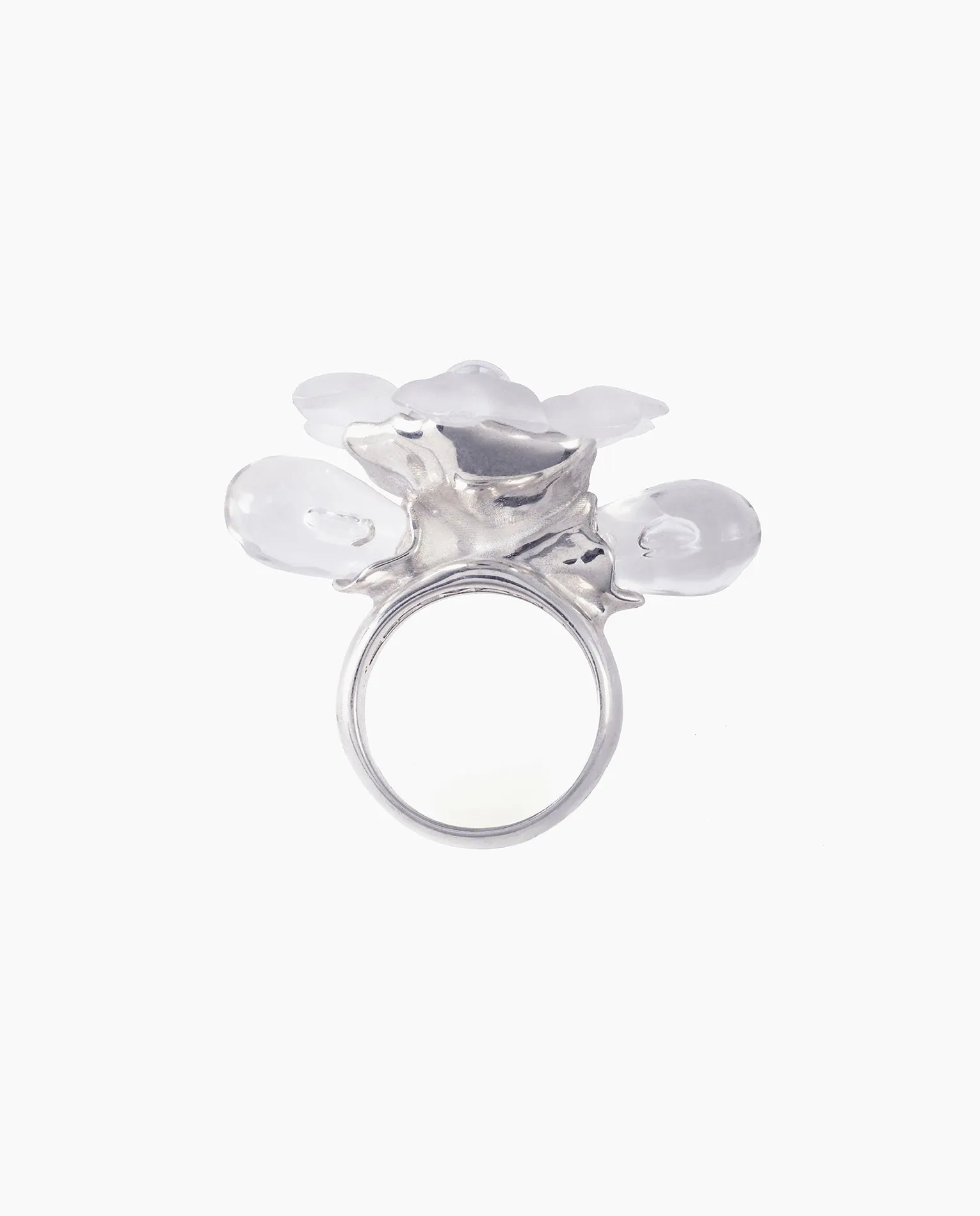 Bodas de Plata