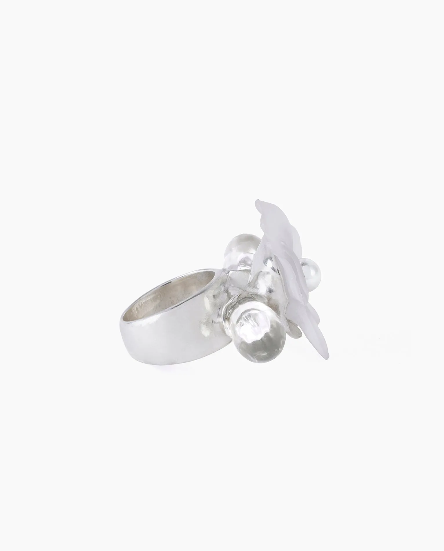 Bodas de Plata