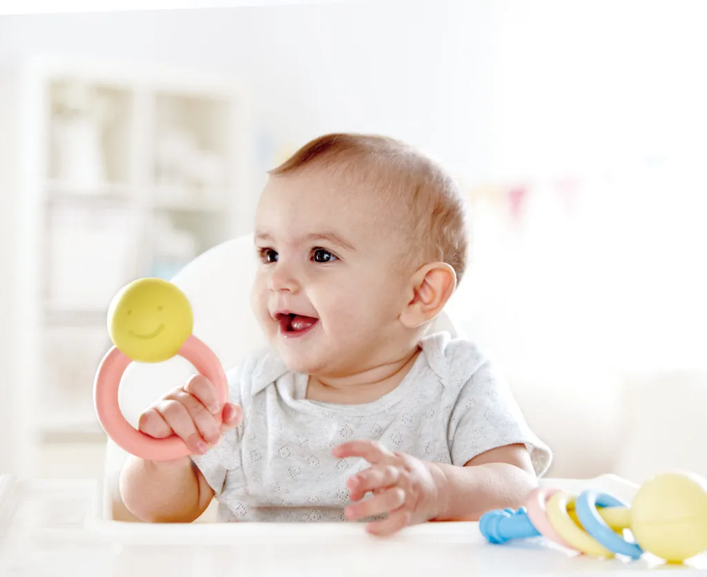 Hape Rattle & Teether Collection