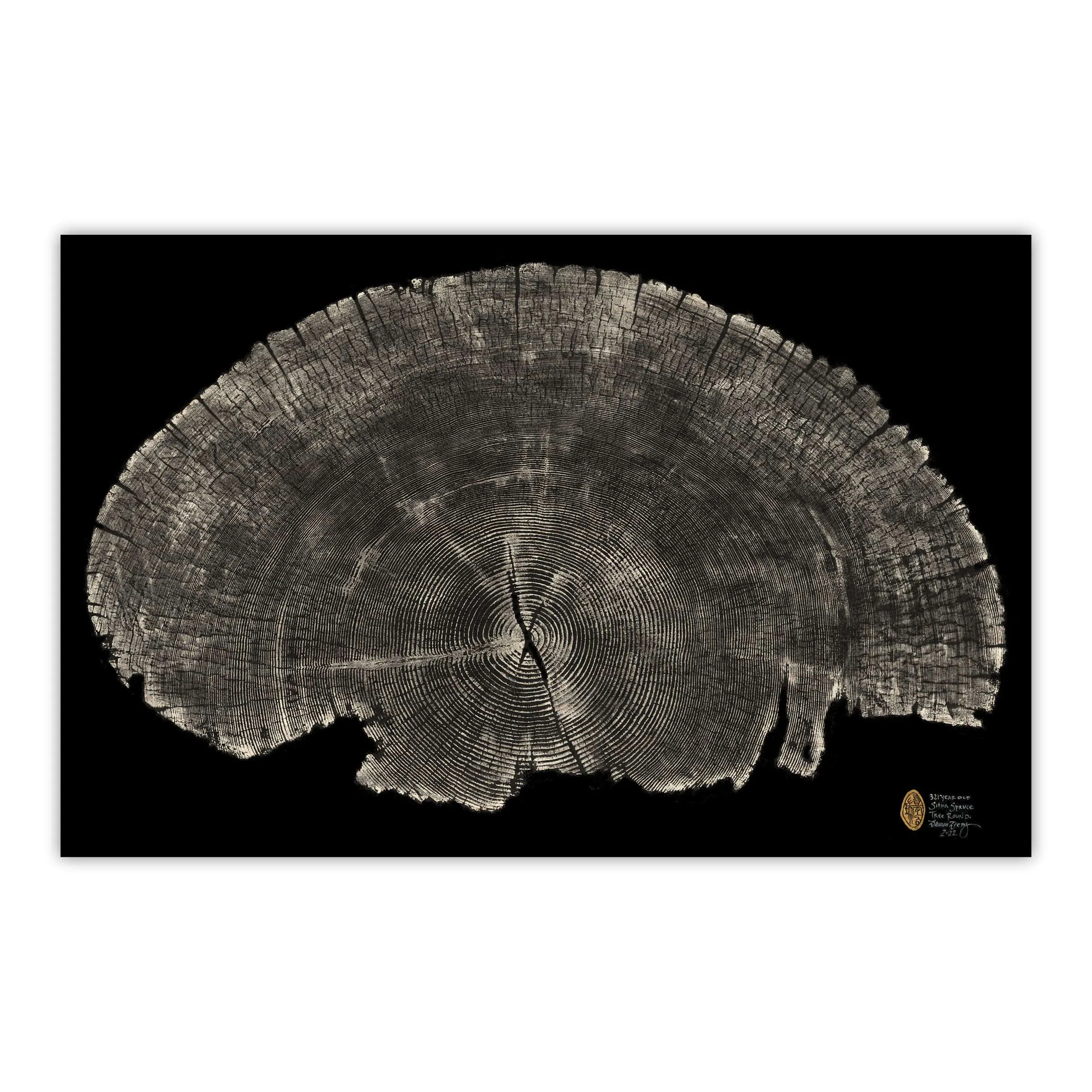 Sitka Spruce Round