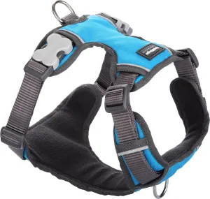 Turquoise Padded Harness
