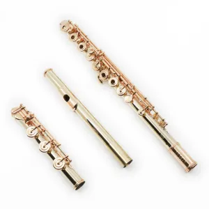 William S. Haynes Handmade Custom Flute in 14K Gold with Gold Mechanism - New